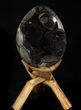 Septarian Dragon Egg Geode - Black Crystals #37118-3